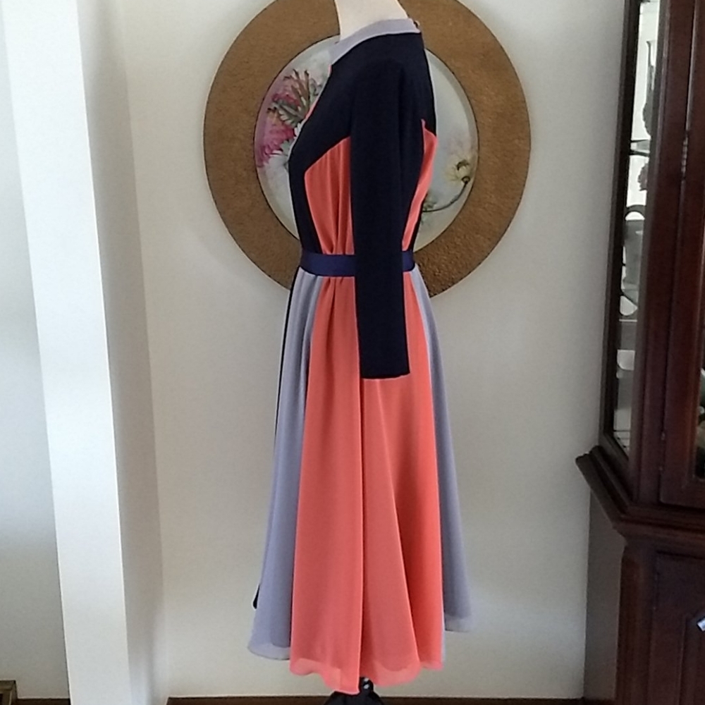 Barelli Dress View 3